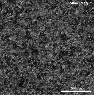 Fig. 1. Alumina ceramics gear surface